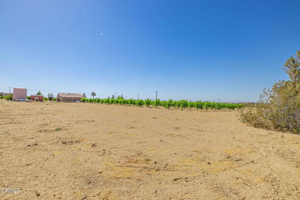 main property photo 50