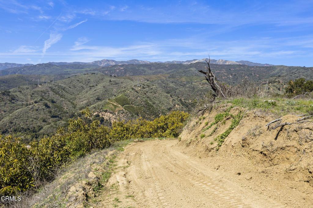 main property photo 54