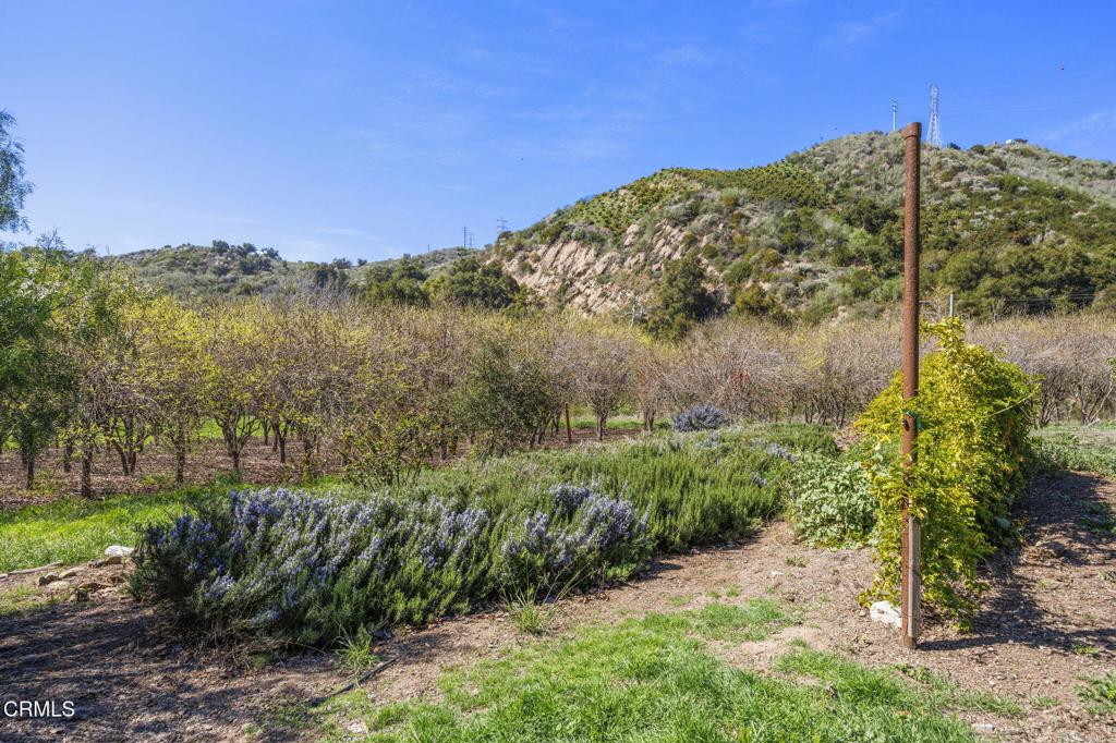 main property photo 62