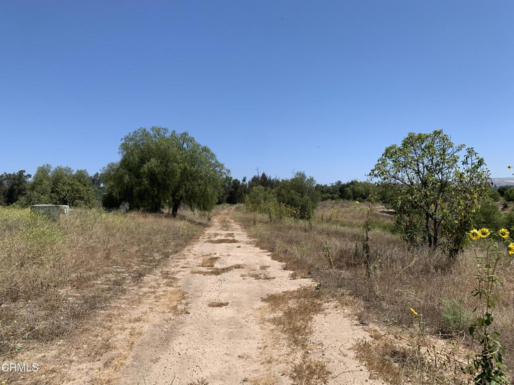 main property photo 33