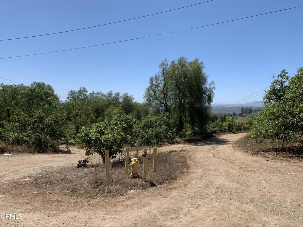 main property photo 14