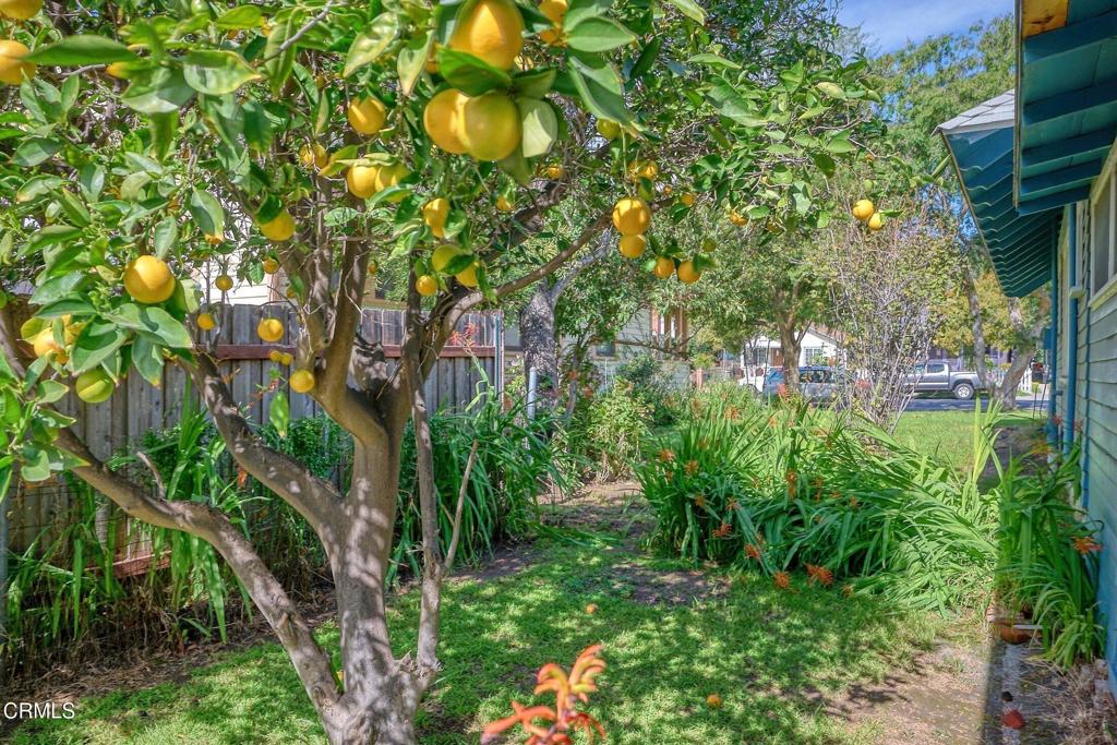 main property photo 19