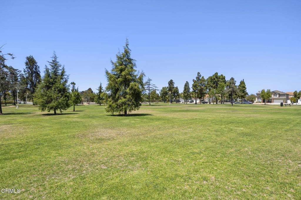 main property photo 54
