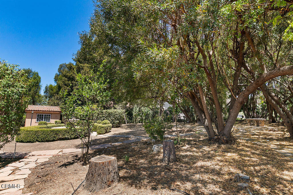 main property photo 57