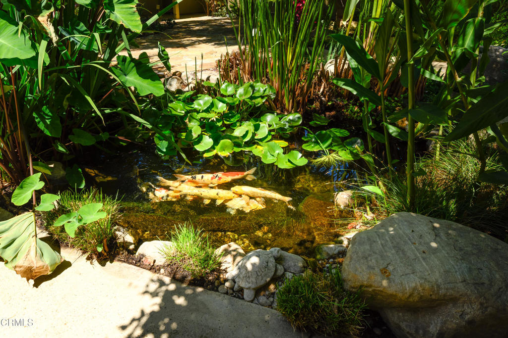 main property photo 56