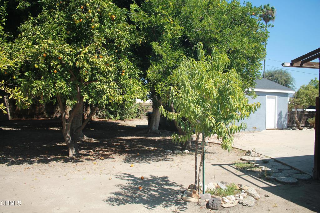 main property photo 48