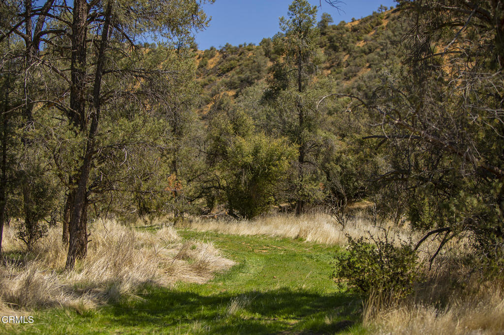 main property photo 57