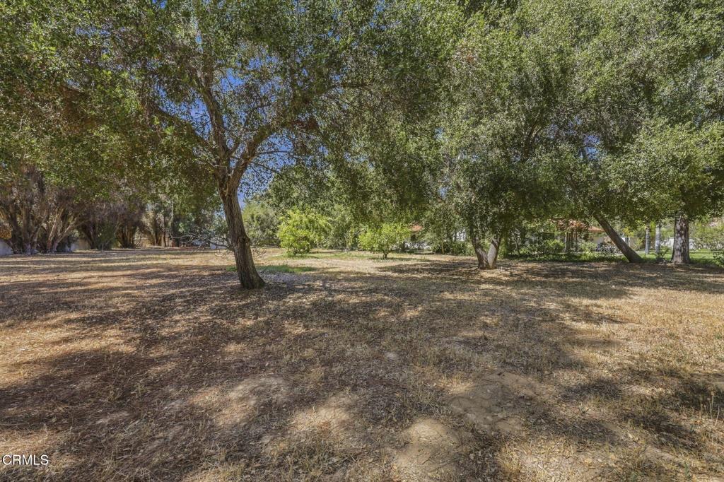 main property photo 43