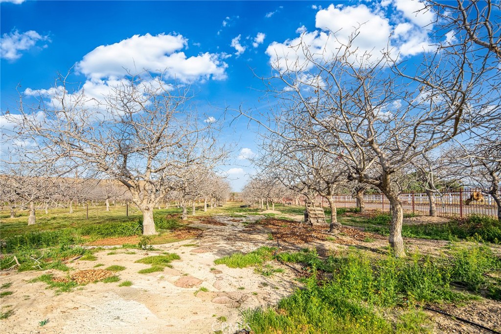 main property photo 50