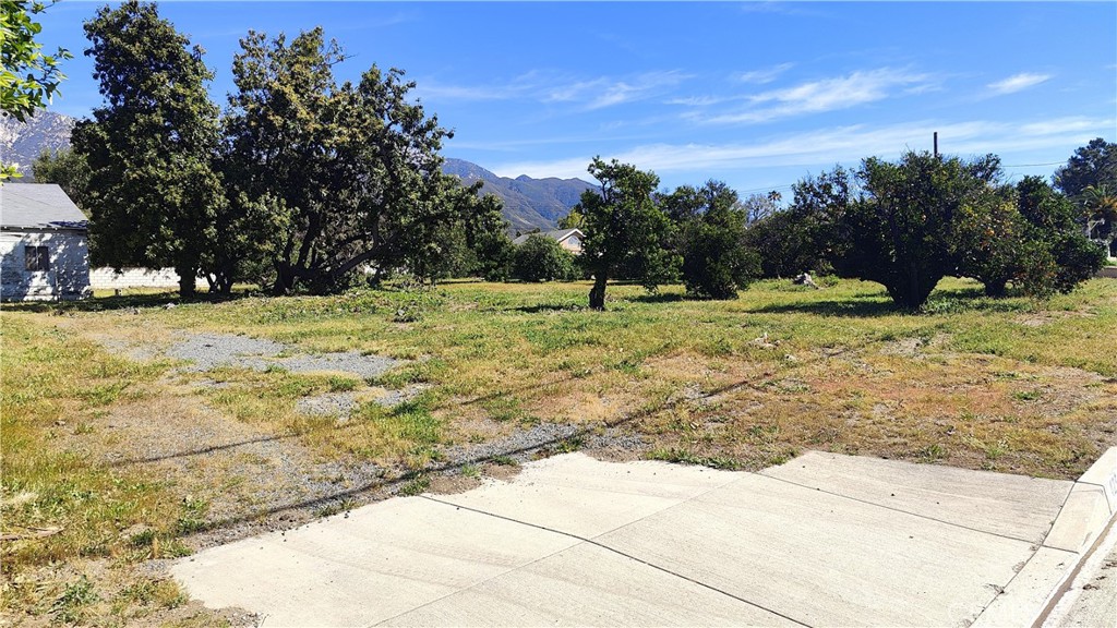 main property photo 48