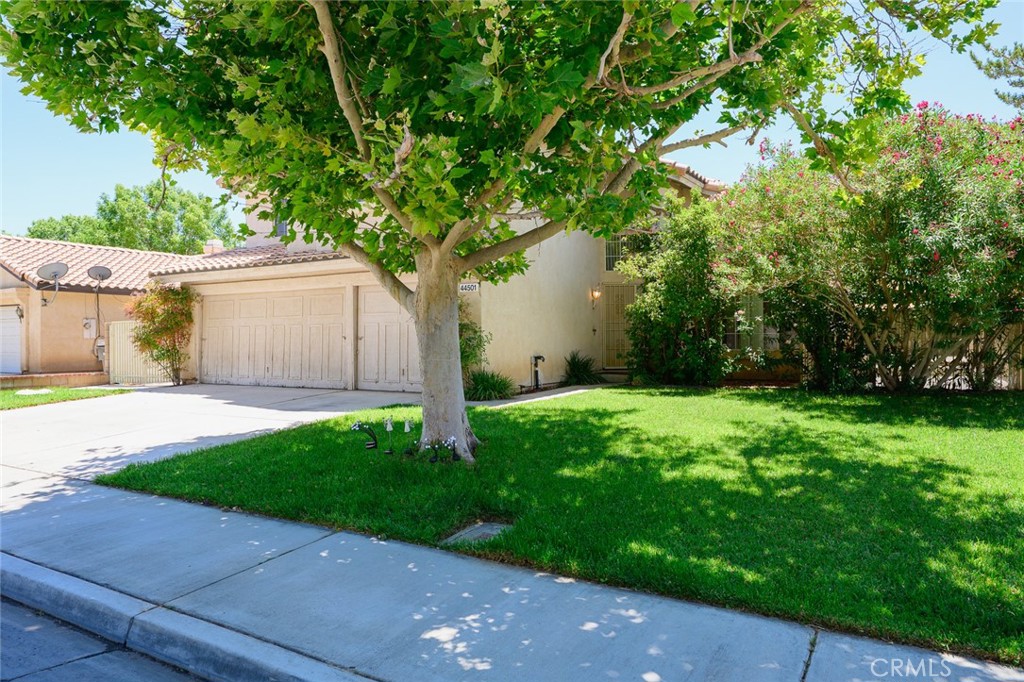 main property photo 50