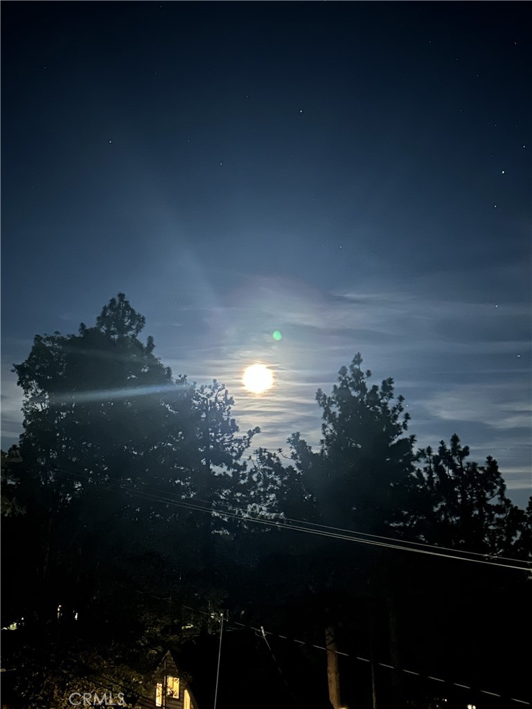 main property photo 54