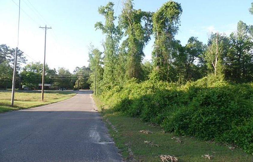 Lot 1 Schad St, East Brewton, AL 36426
