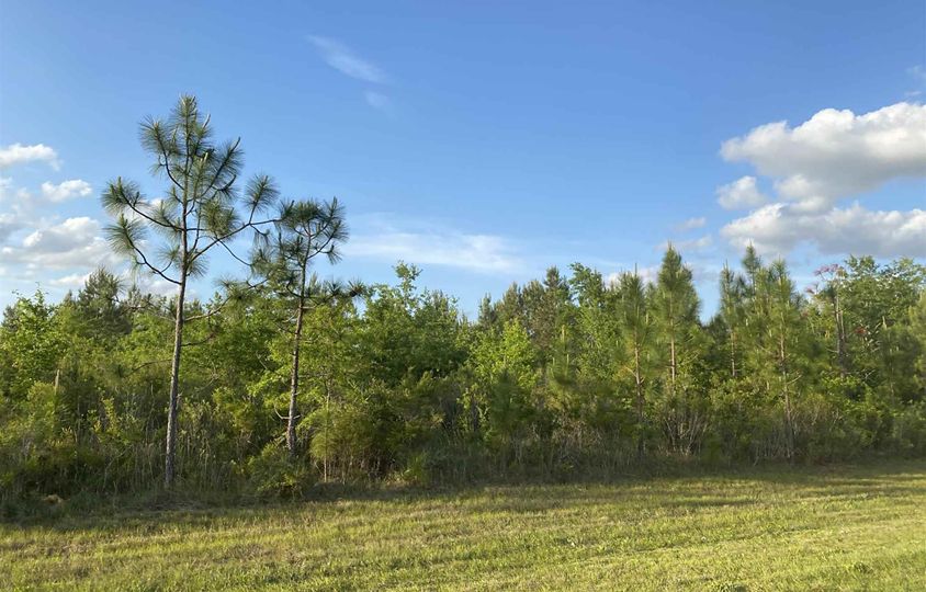 0 Nokomis Rd, Walnut Hill, FL 32568