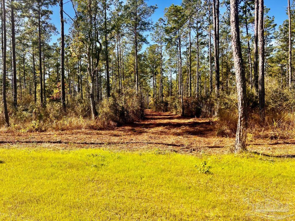 main property photo 10