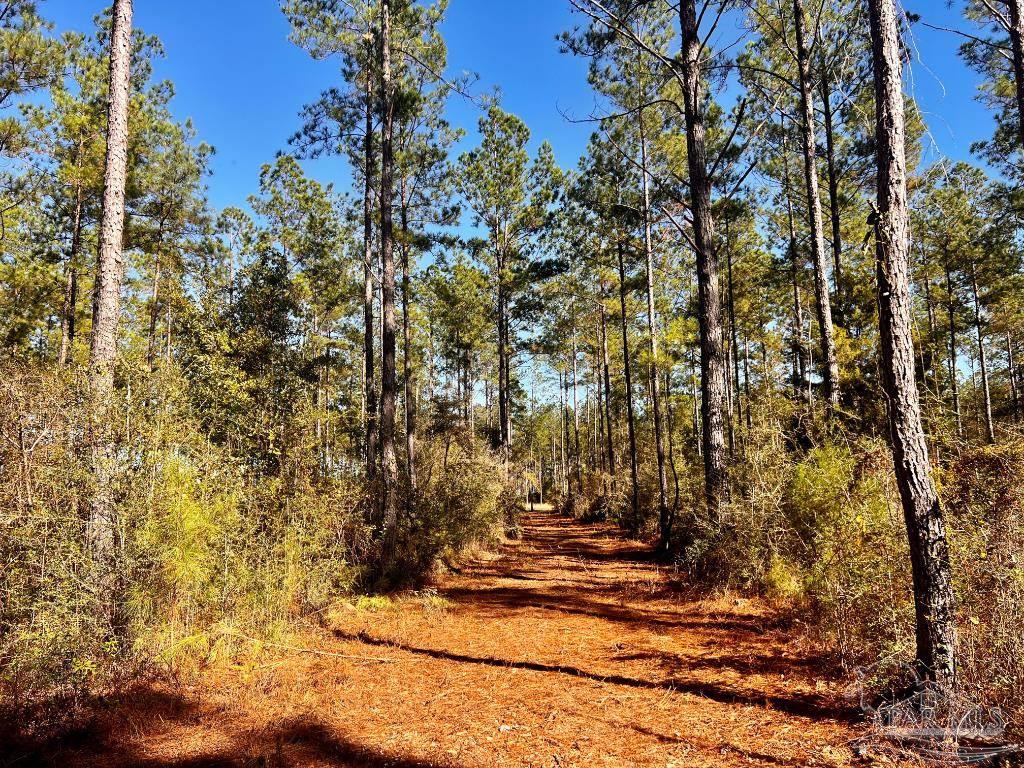 main property photo 14