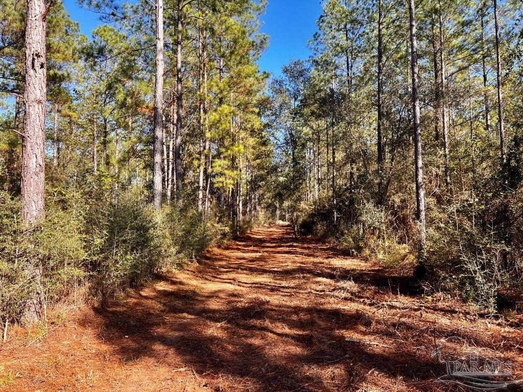 main property photo 10