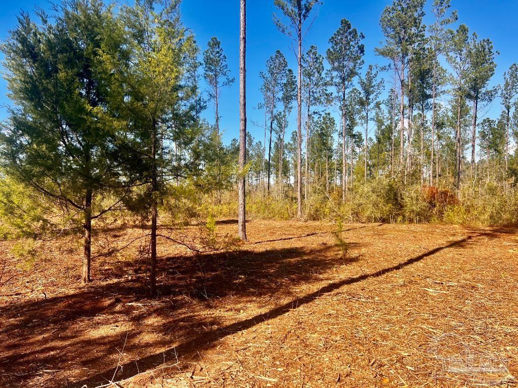 main property photo 20