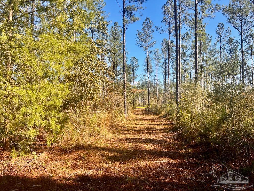main property photo 21