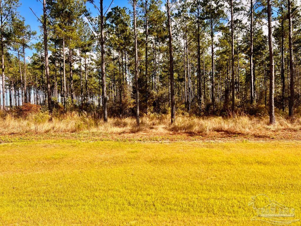 main property photo 11