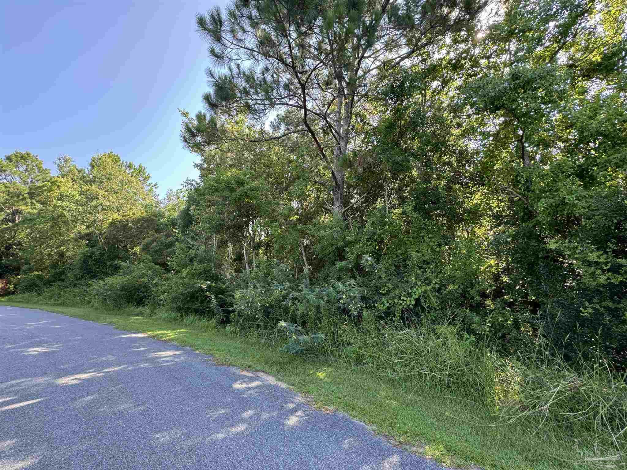 main property photo 5