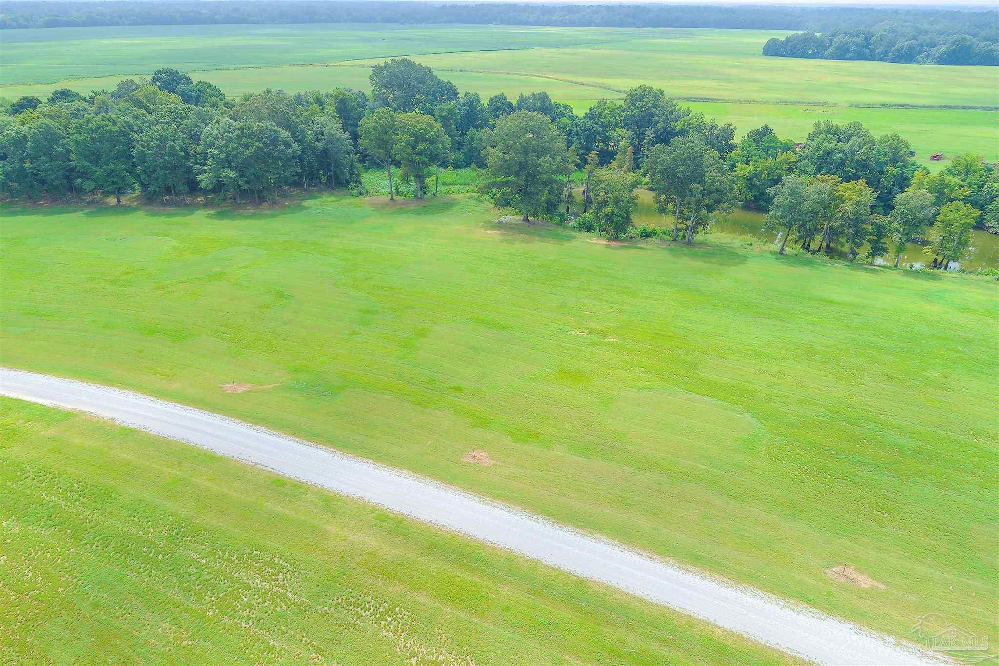 main property photo 47