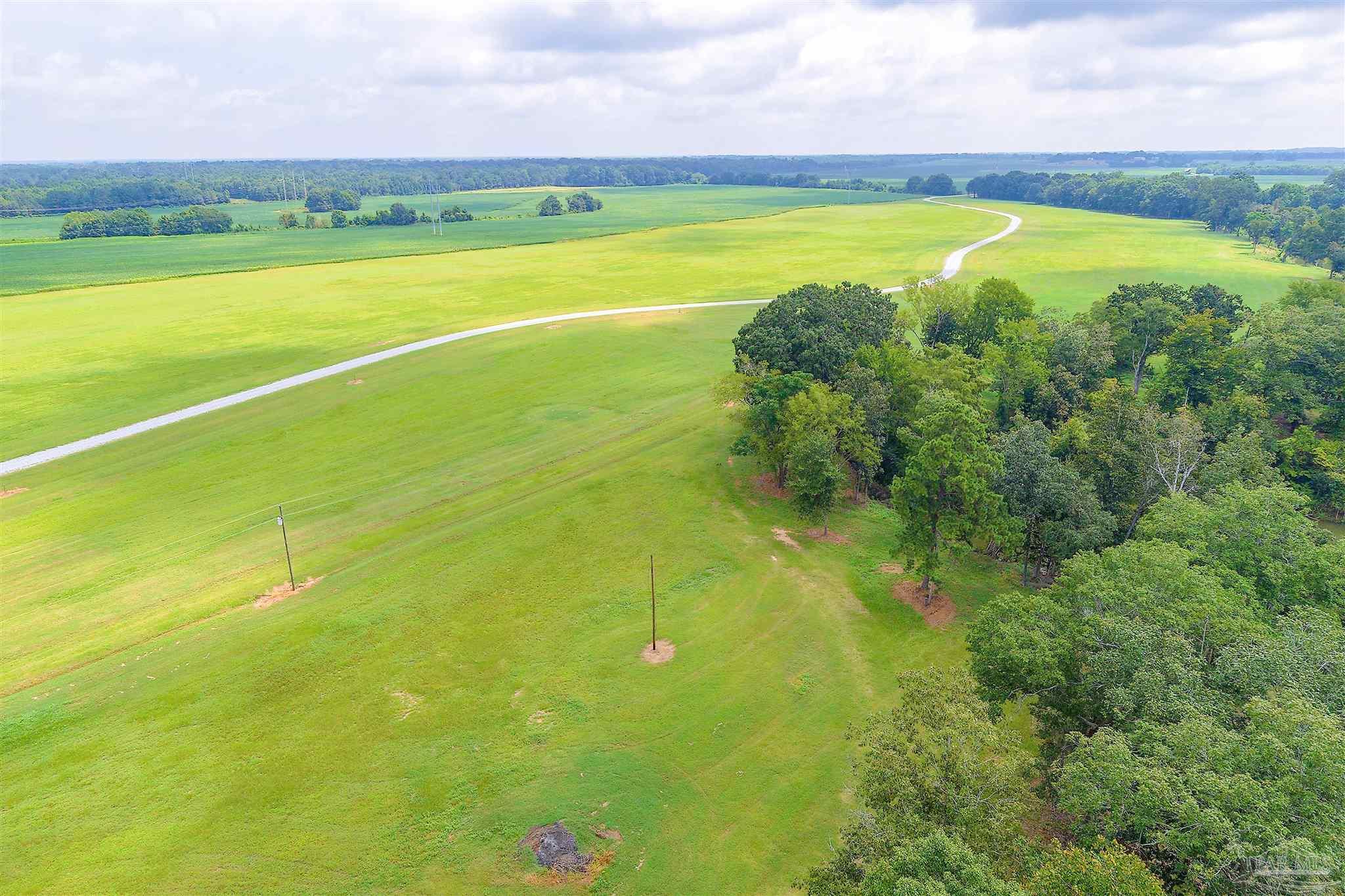 main property photo 48