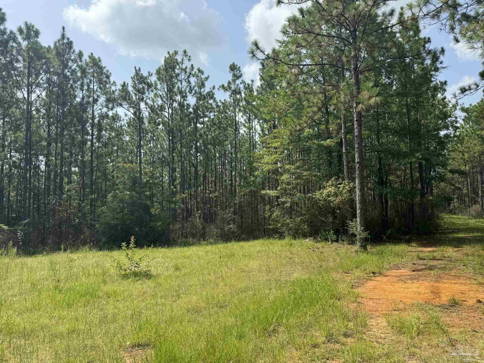 main property photo 16