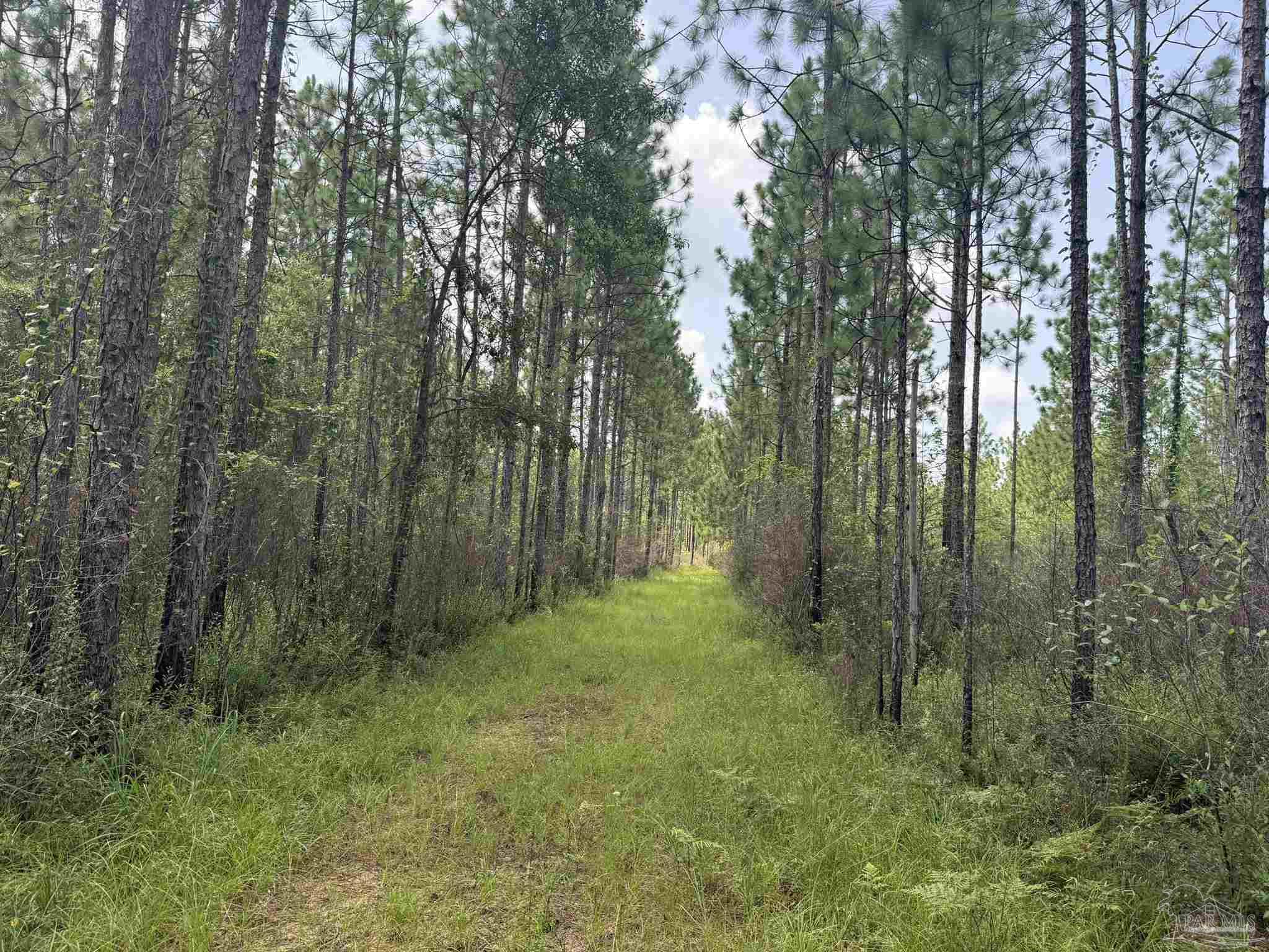 main property photo 26
