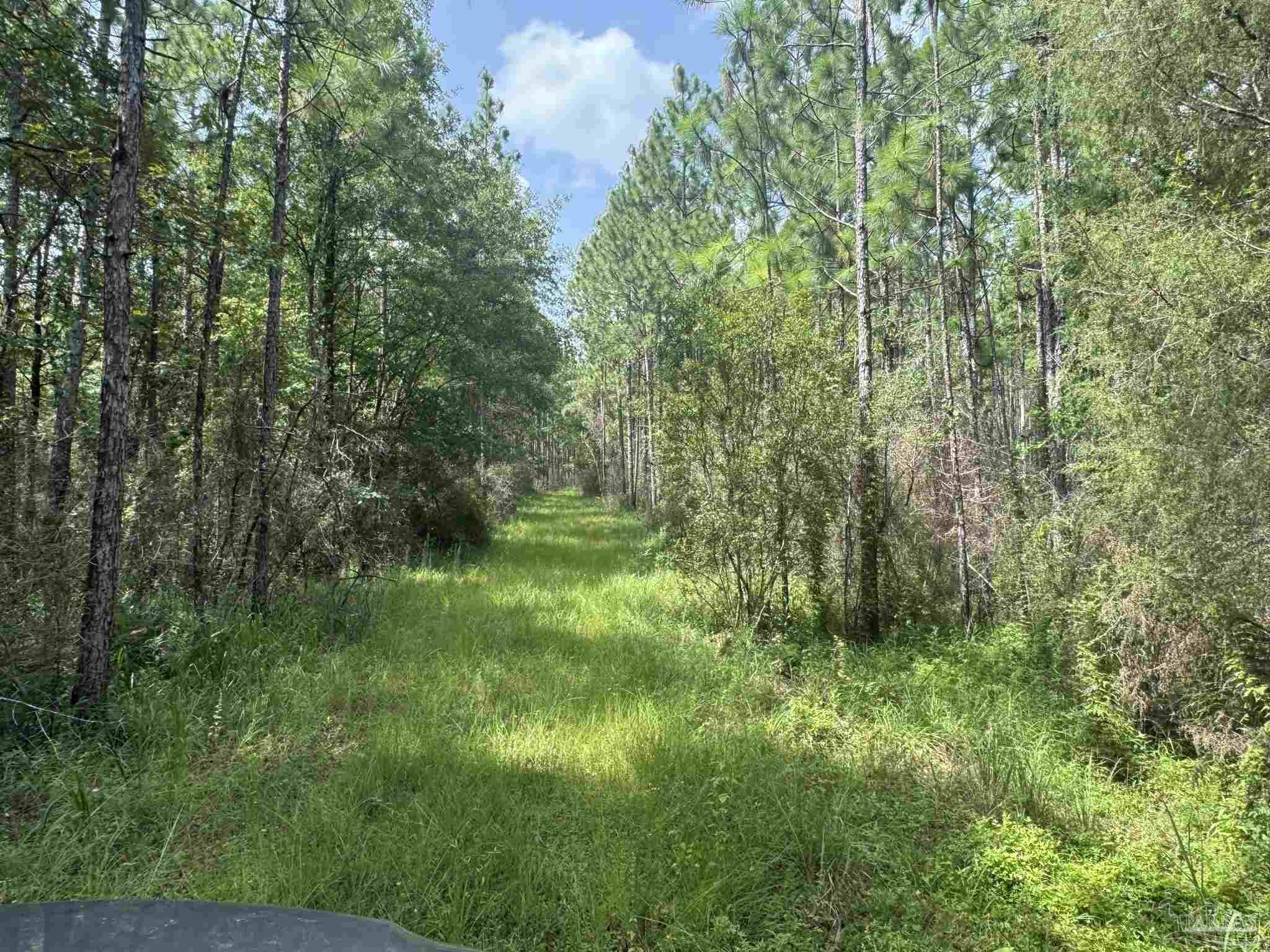 main property photo 27