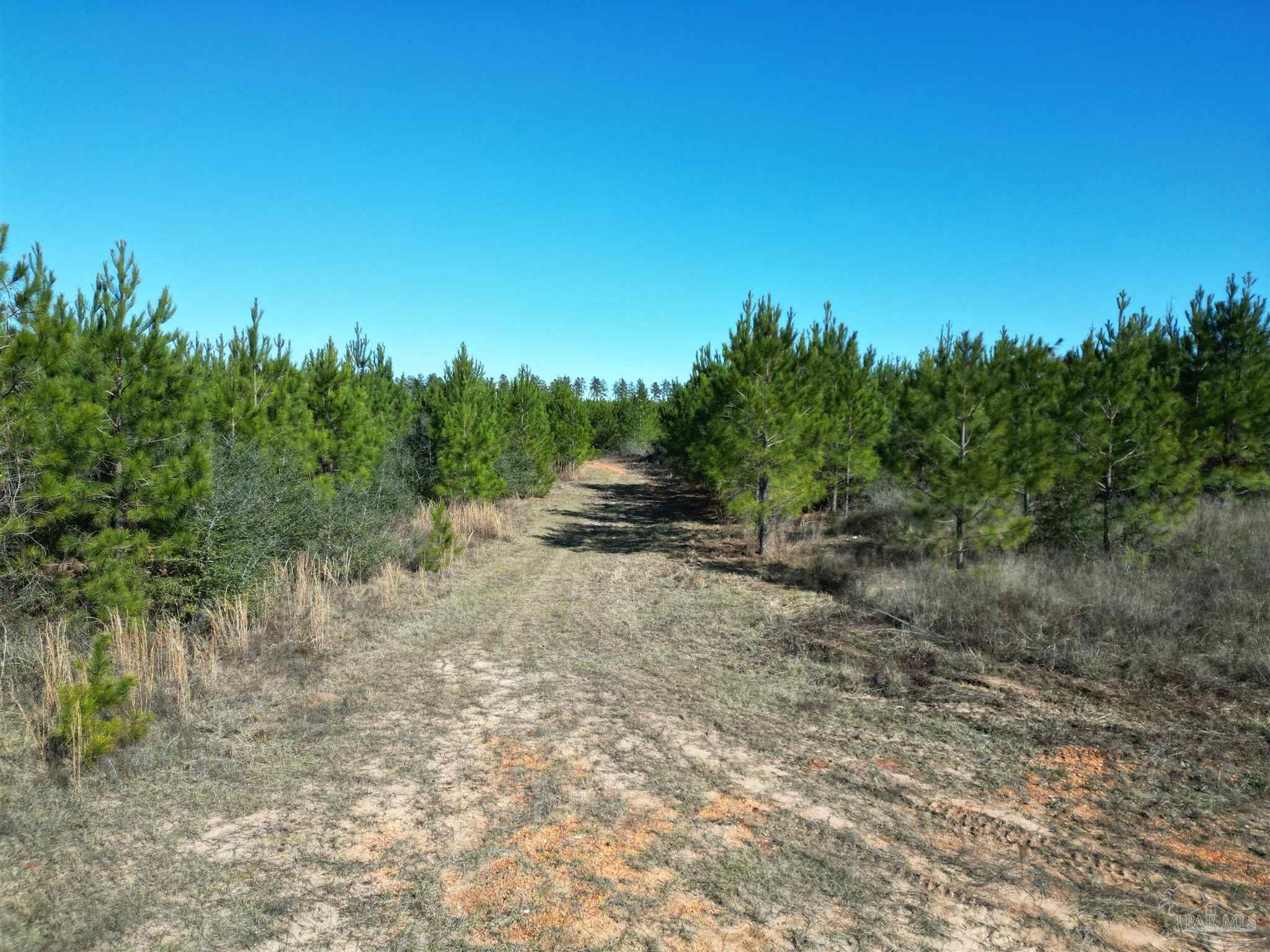 main property photo 11