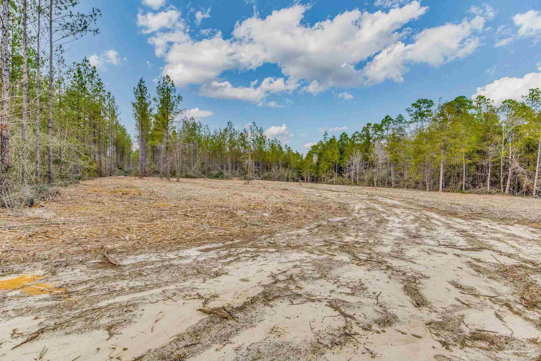 main property photo 43