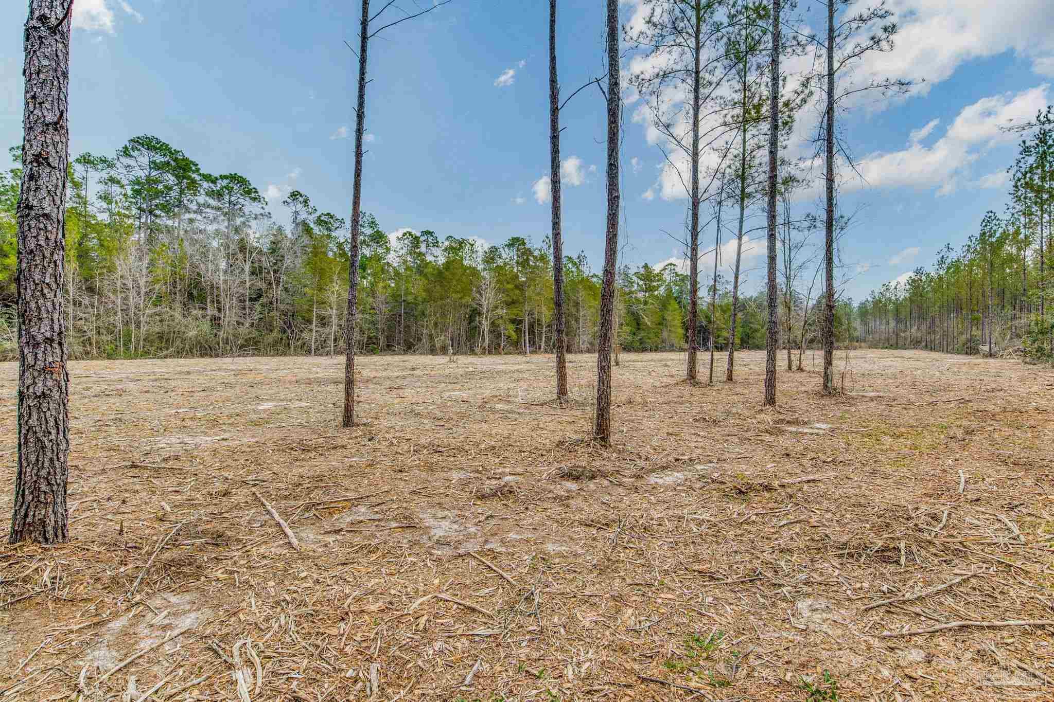 main property photo 50