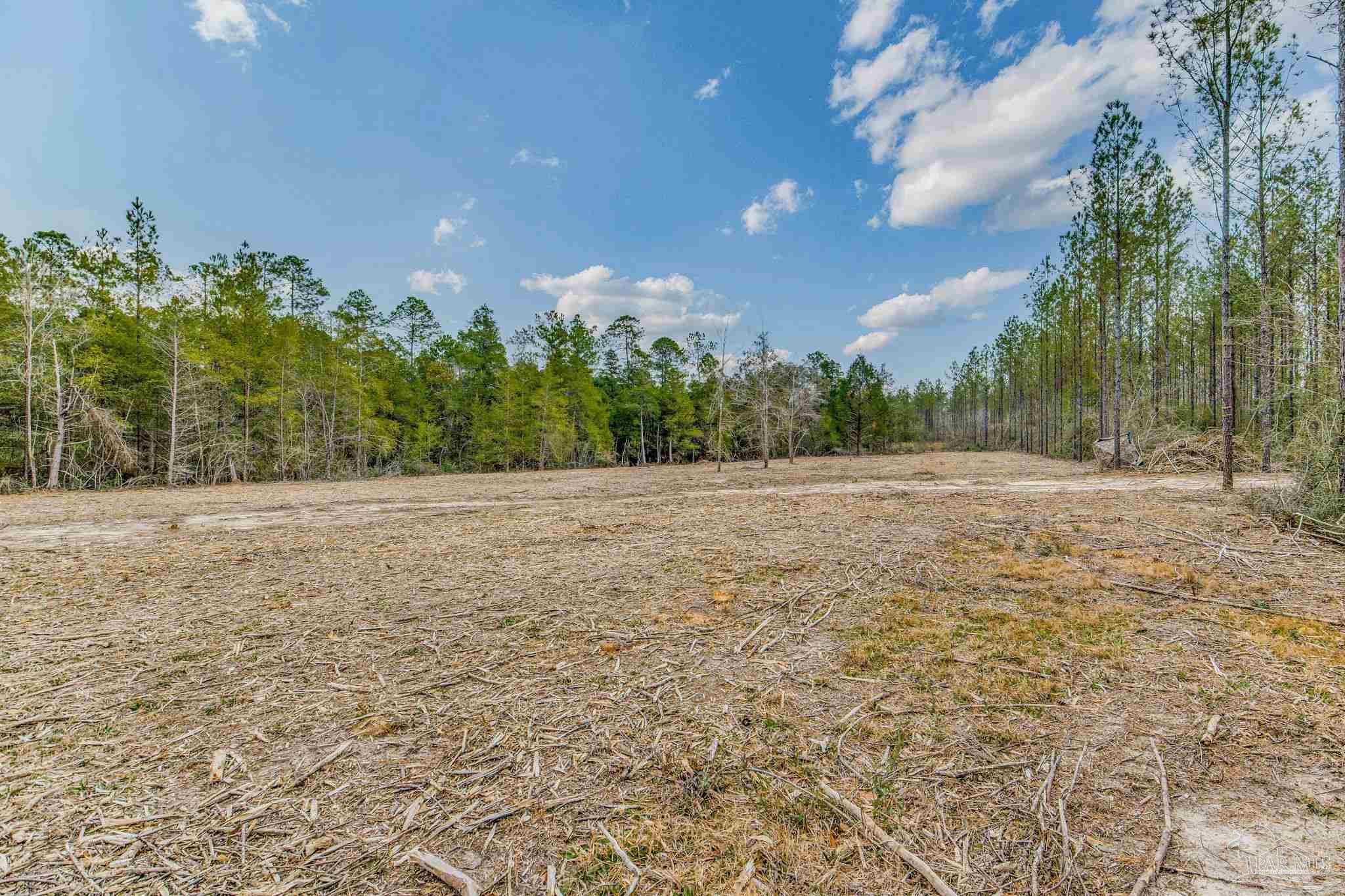 main property photo 51