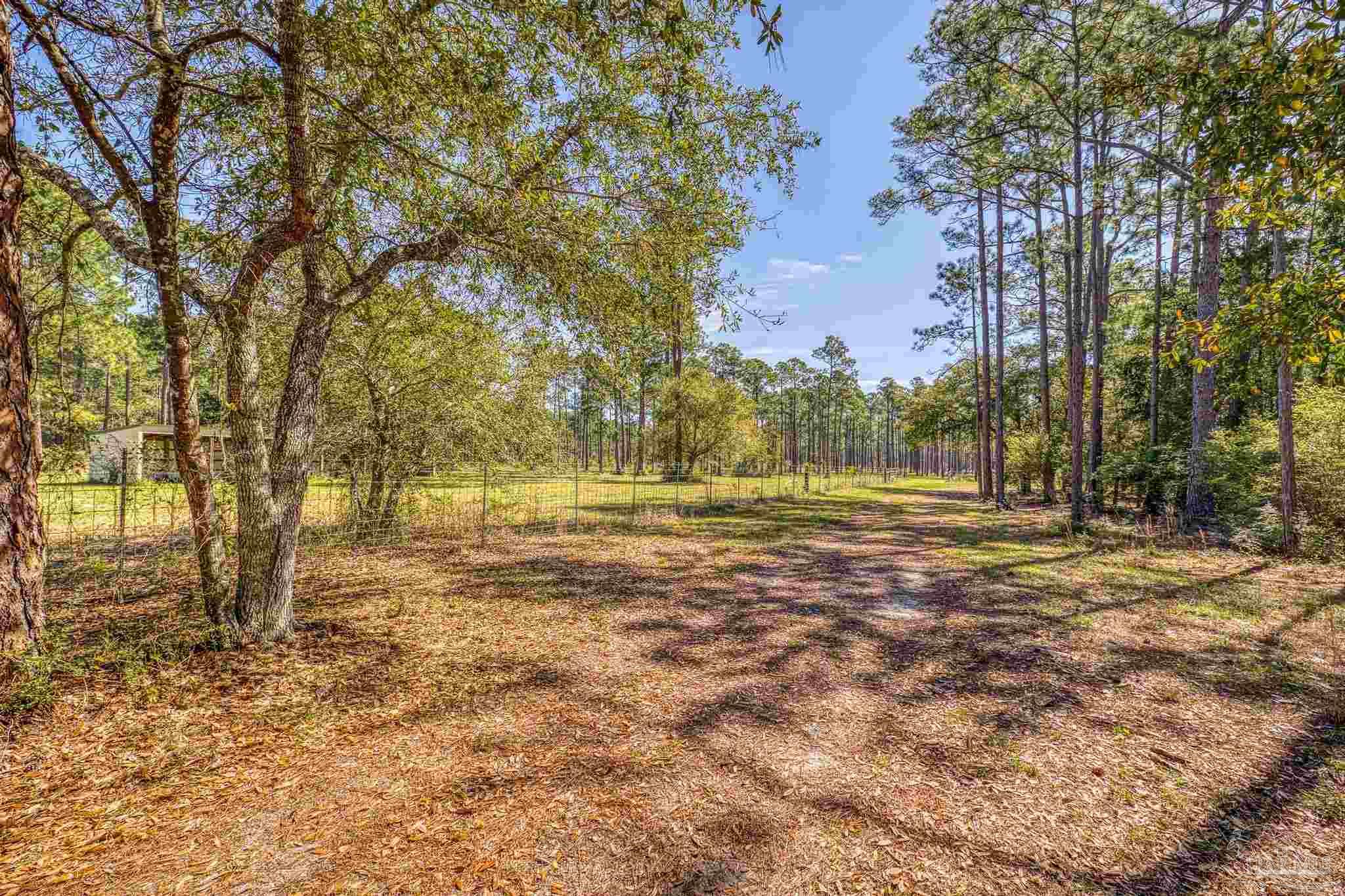 main property photo 58