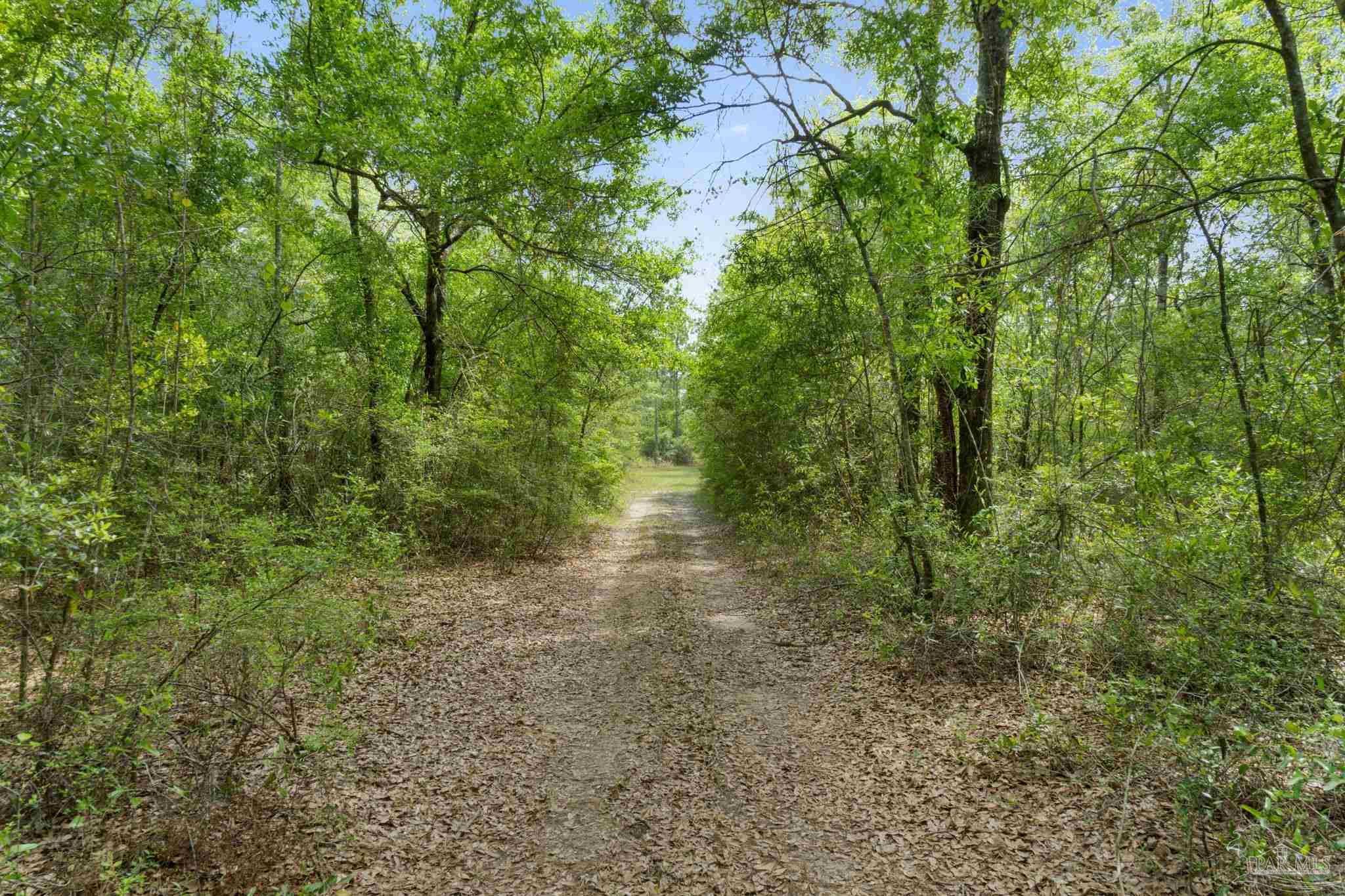 main property photo 13