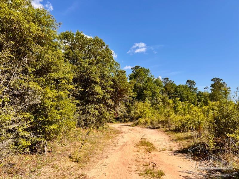 main property photo 19