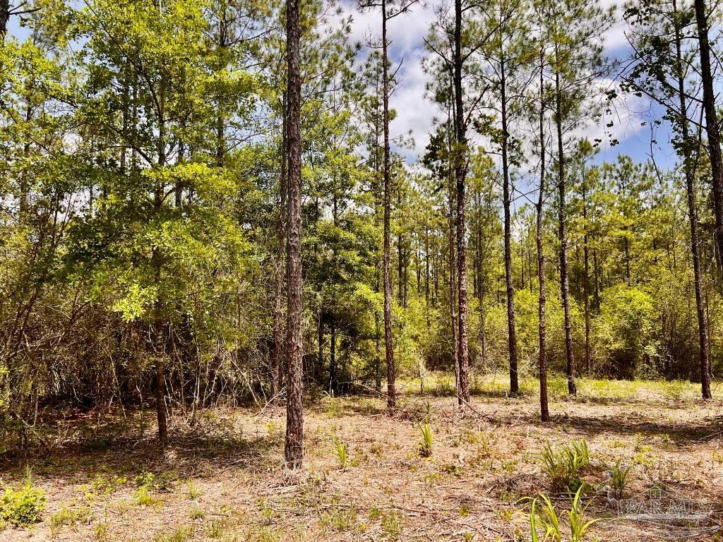 main property photo 25