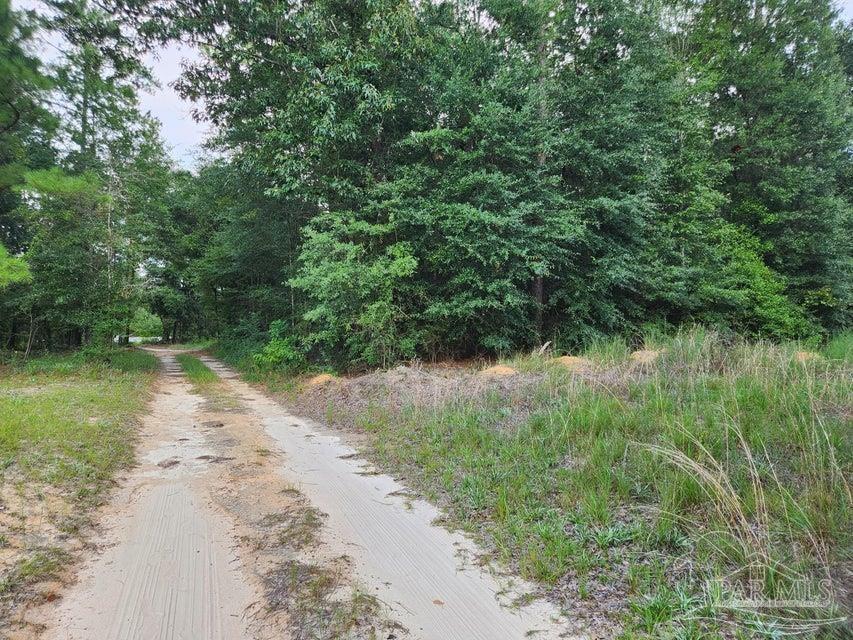 main property photo 20