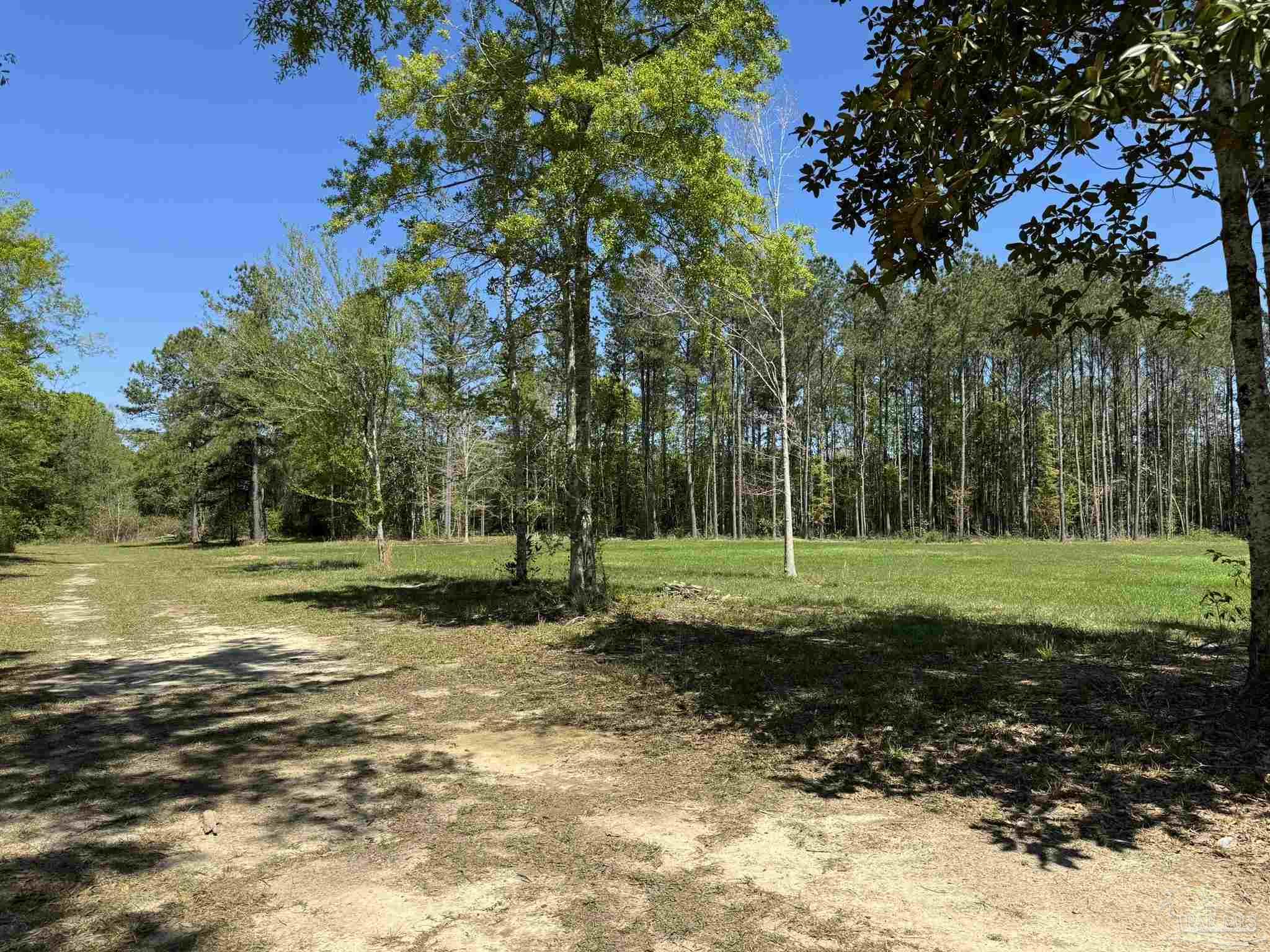 main property photo 47