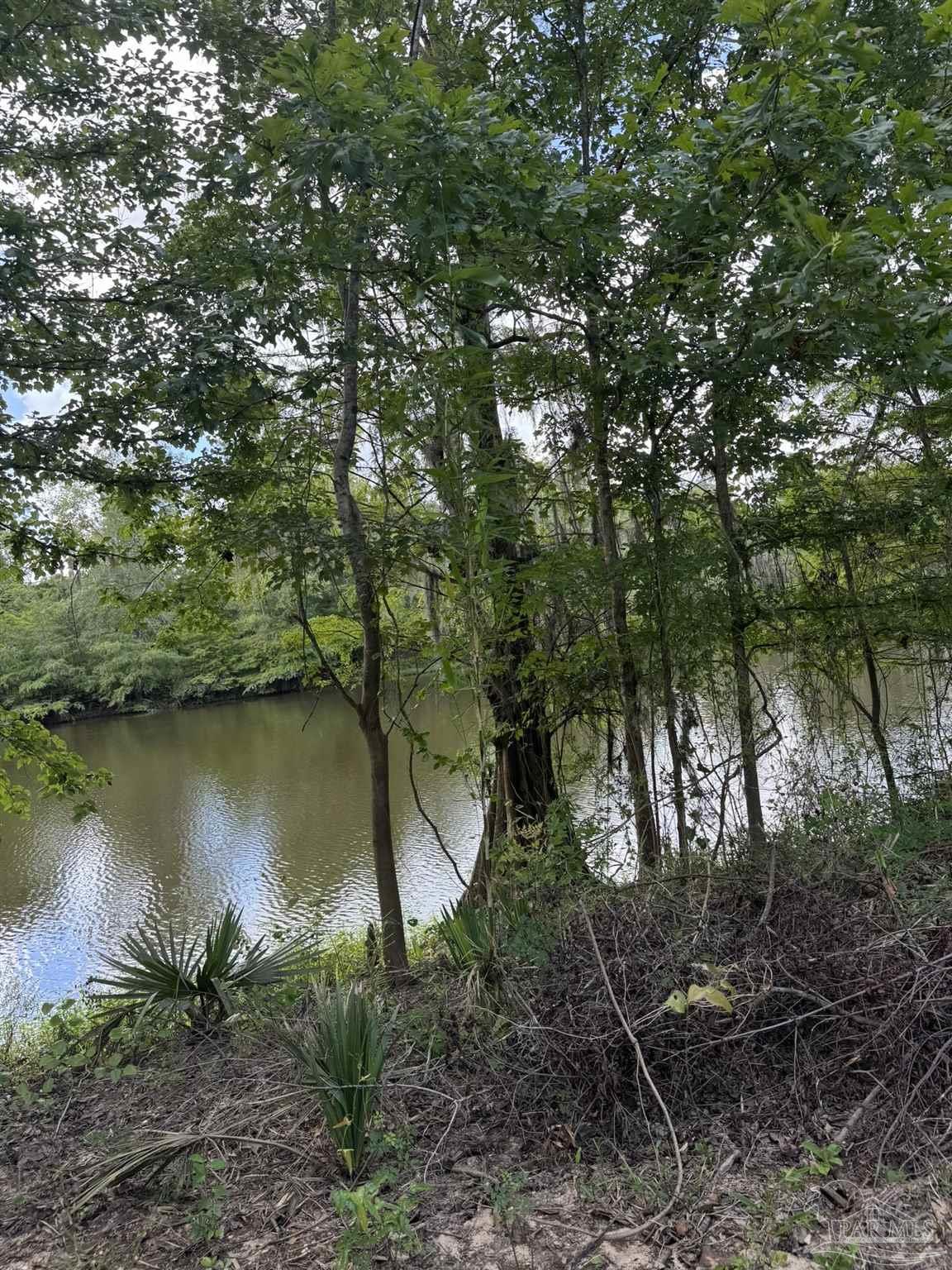 main property photo 59