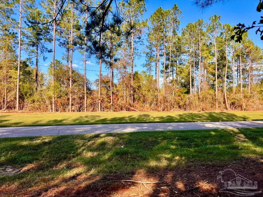 main property photo 8