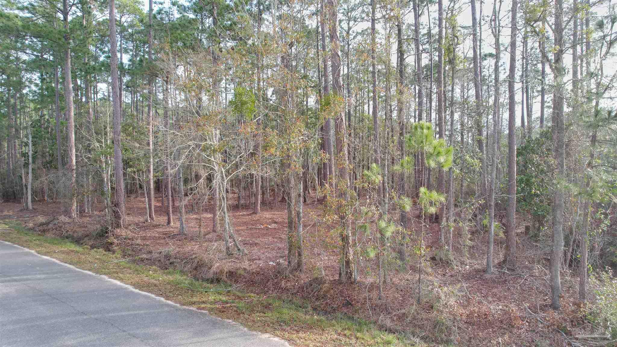 main property photo 13