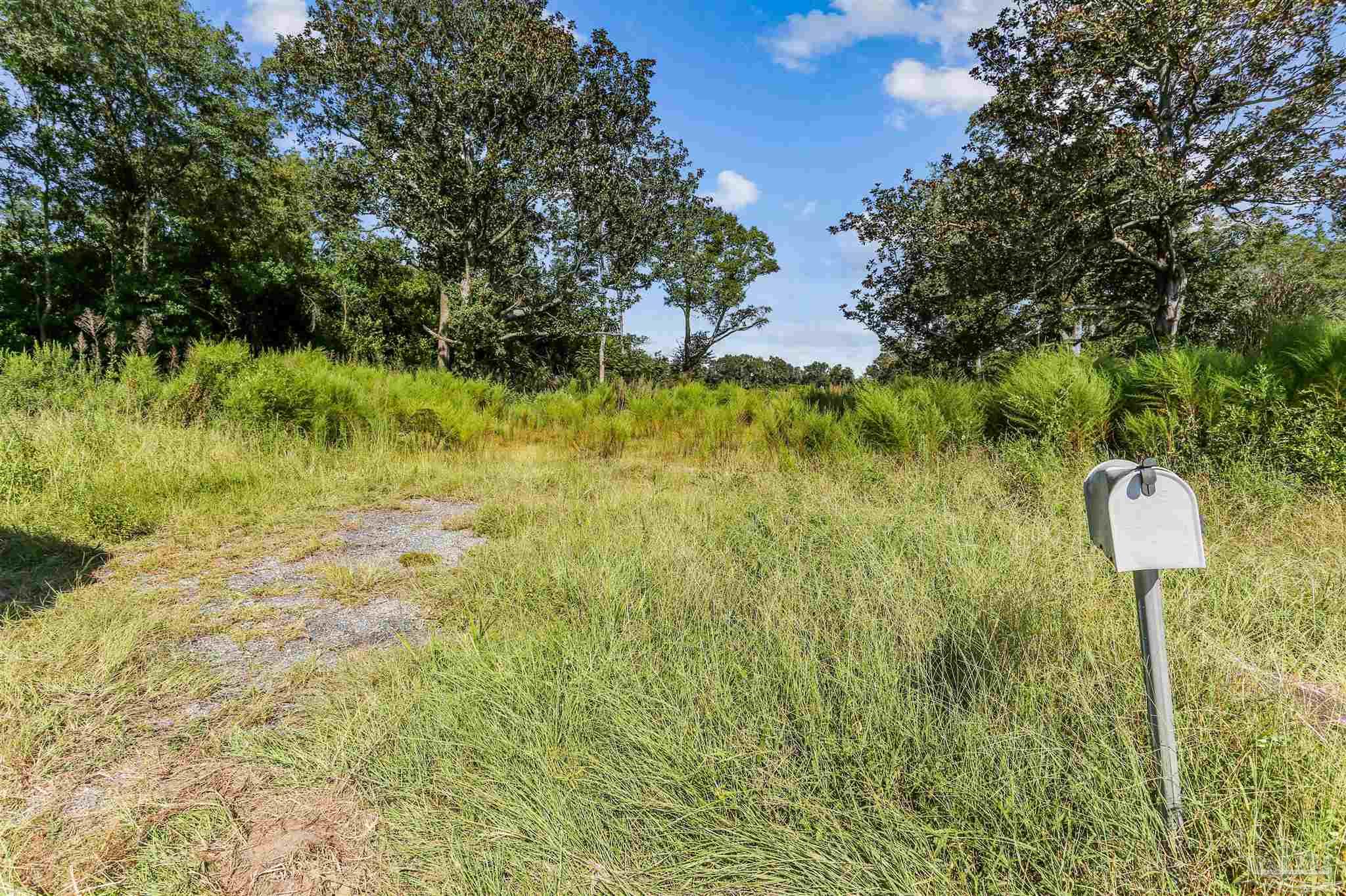 main property photo 9