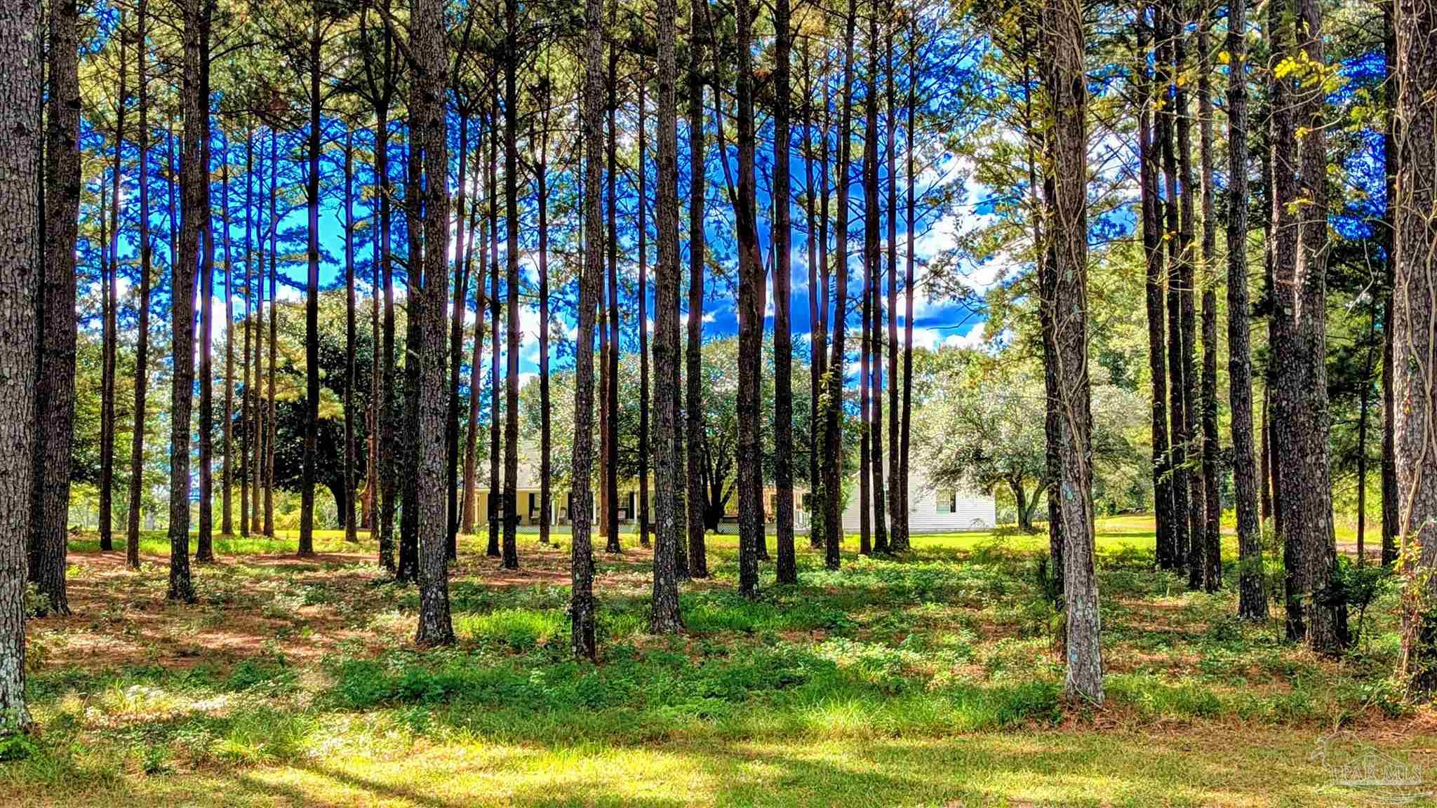 main property photo 60