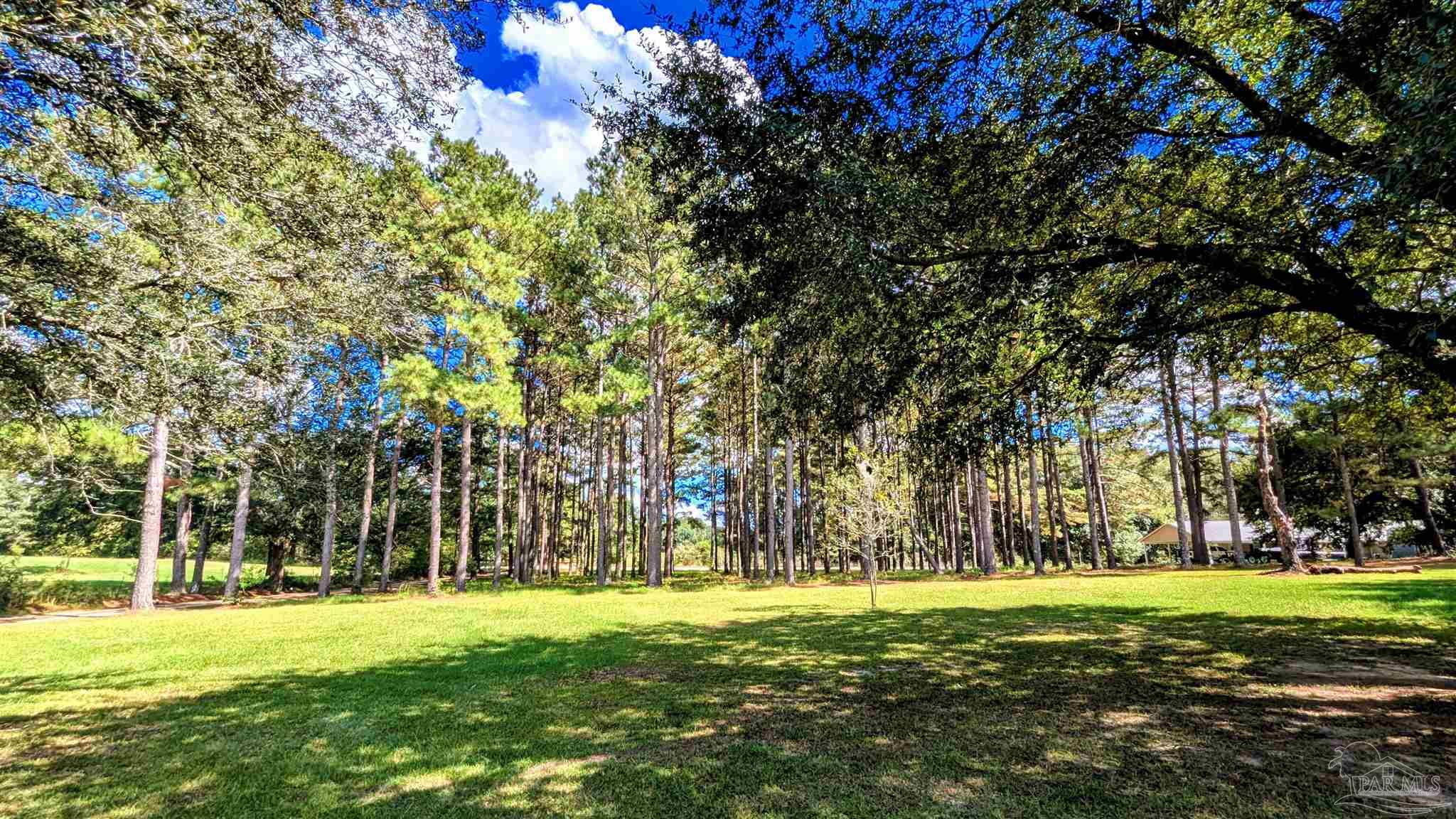 main property photo 62