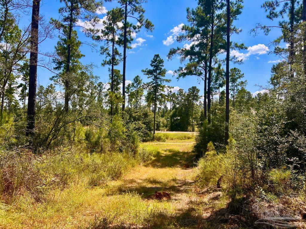 main property photo 15