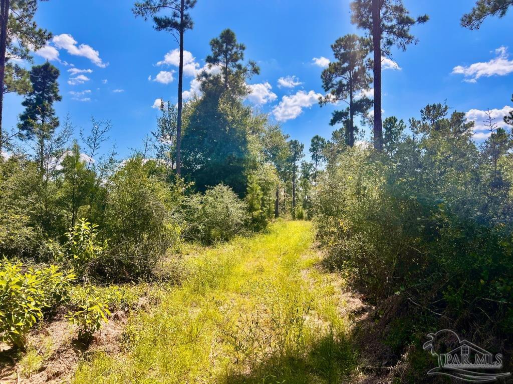 main property photo 8