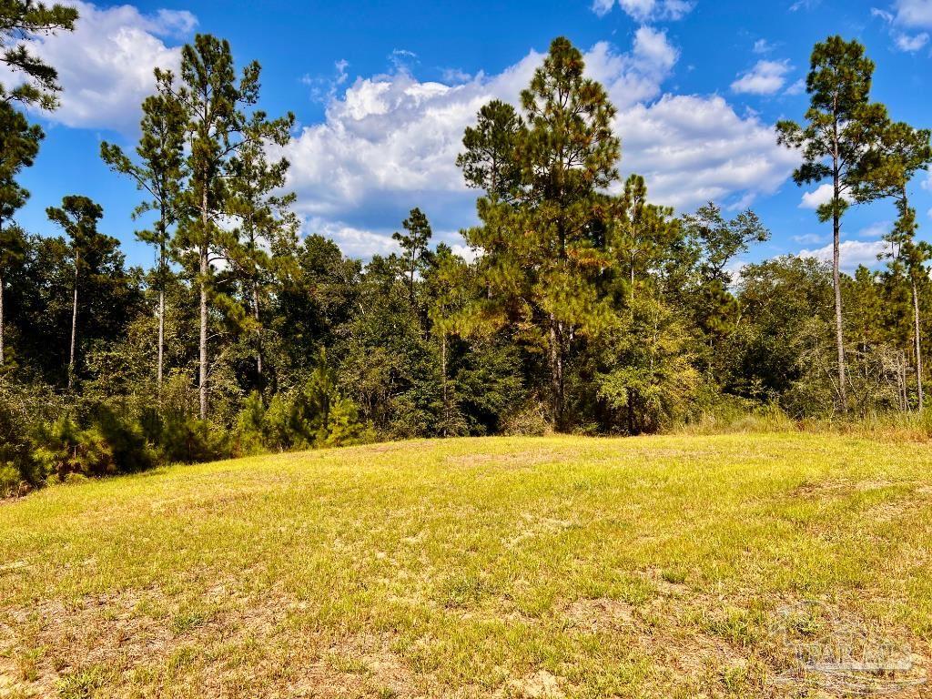main property photo 13