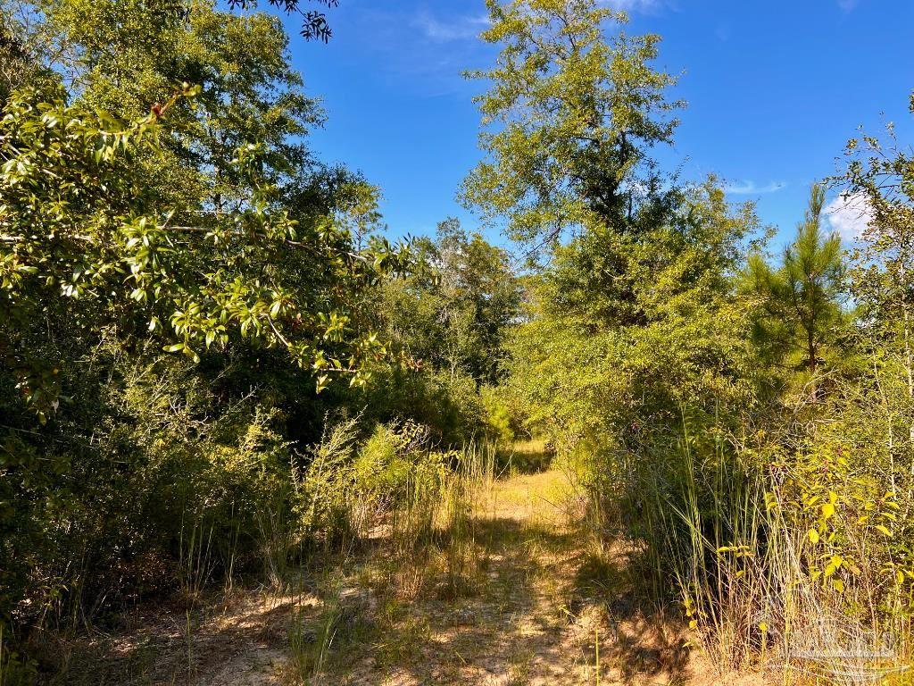 main property photo 8